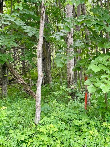 TBD Pacer Drive, Browerville, MN 56438