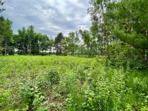 TBD Pacer Drive, Browerville, MN 56438