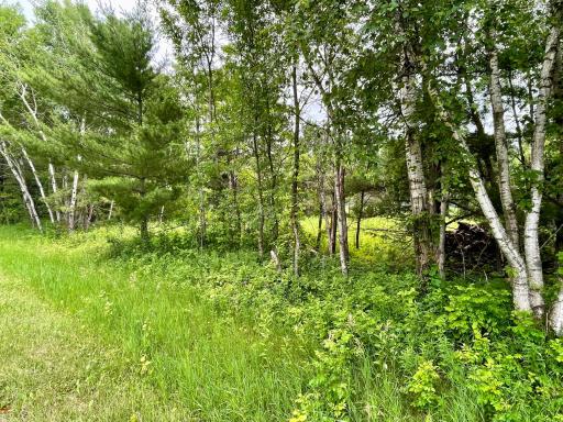 TBD Pacer Drive, Browerville, MN 56438