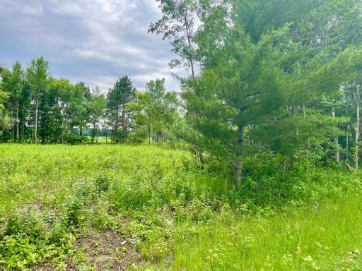 TBD Pacer Drive, Browerville, MN 56438