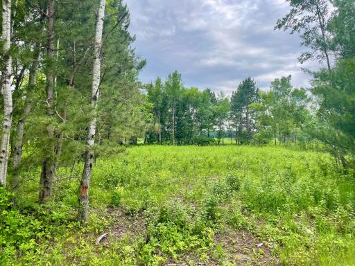 TBD Pacer Drive, Browerville, MN 56438
