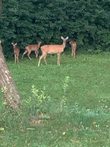 15 Apfelridge Court, South Saint Paul, MN 55075