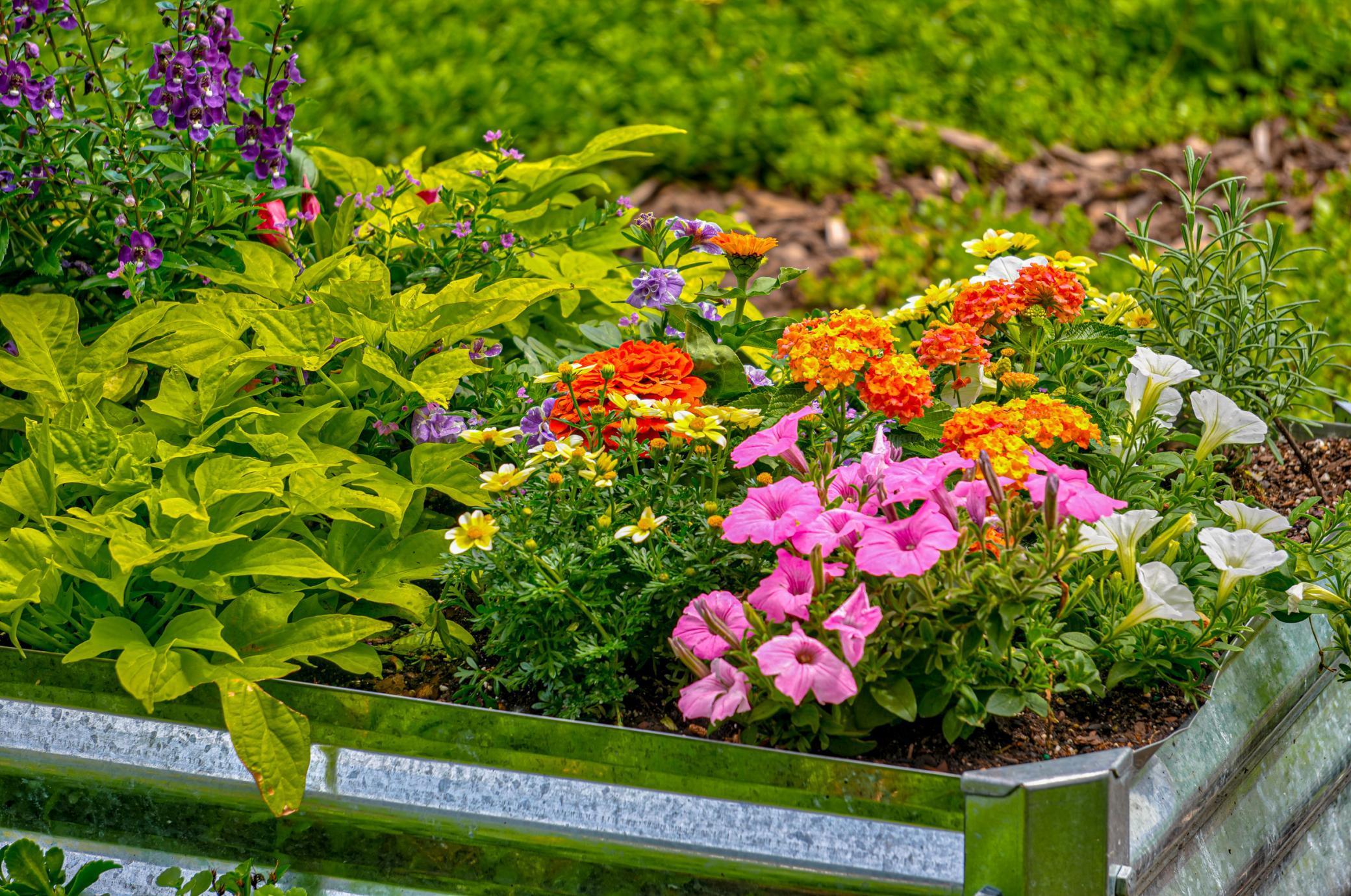 720 First St #1 South-76.jpg