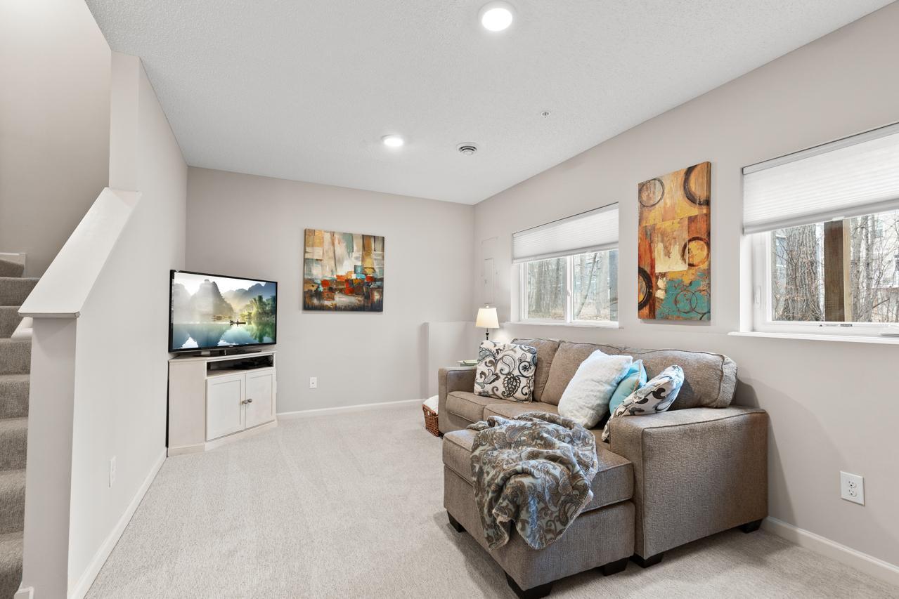 Cozy lower level family room space