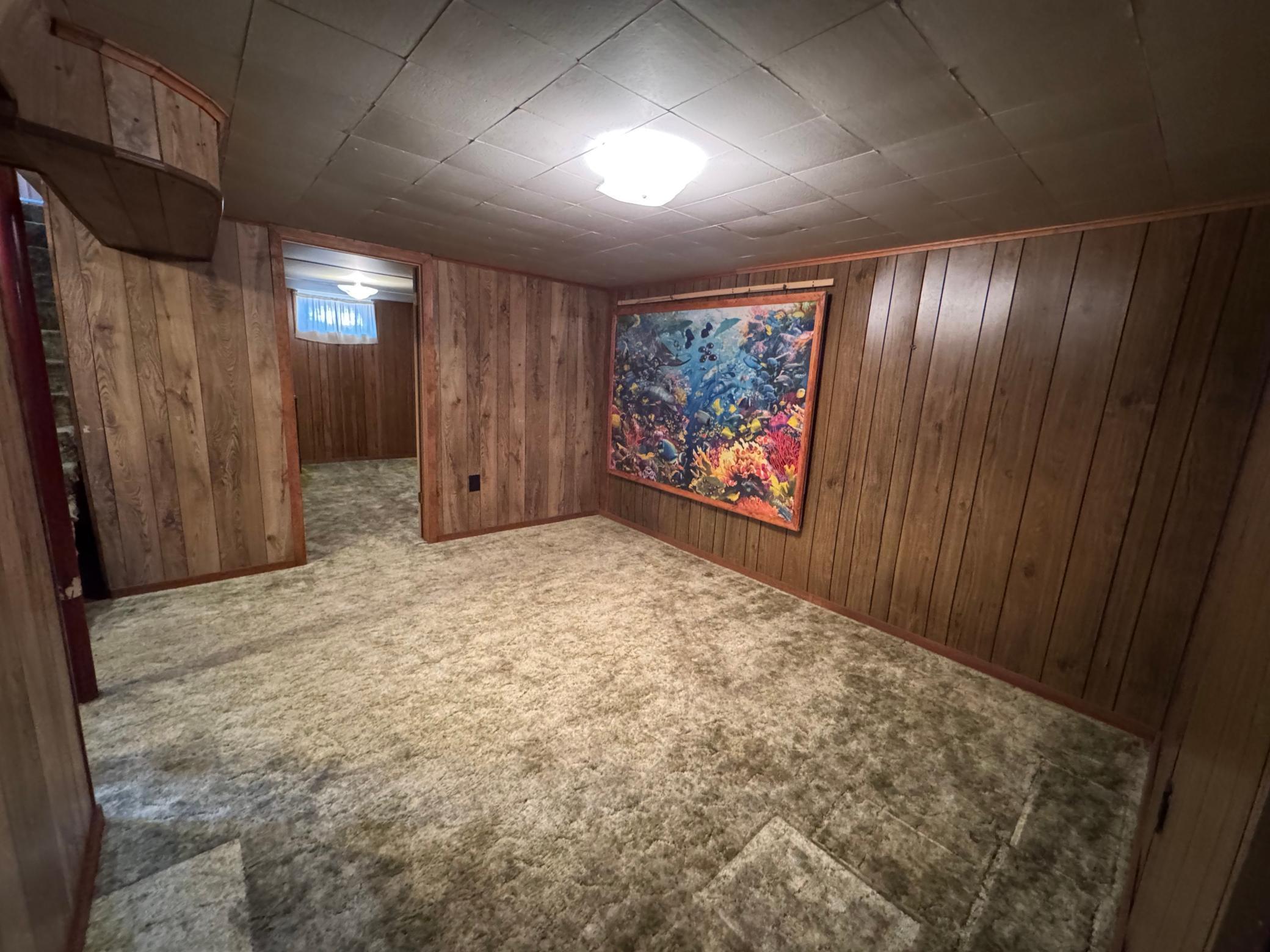 Lower Level Family Room