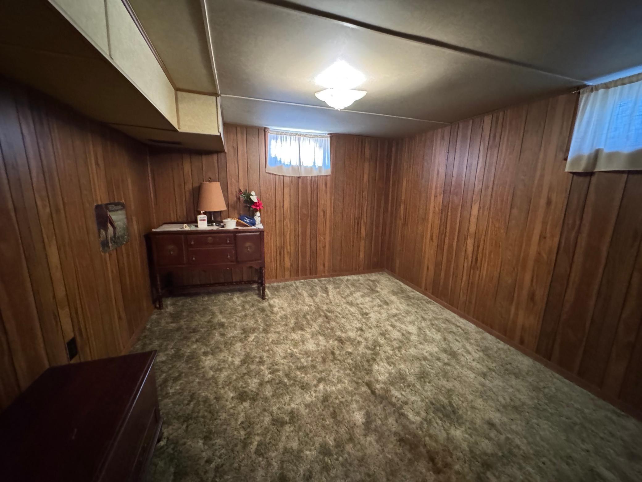 Lower Level Non-Egress Guest Room