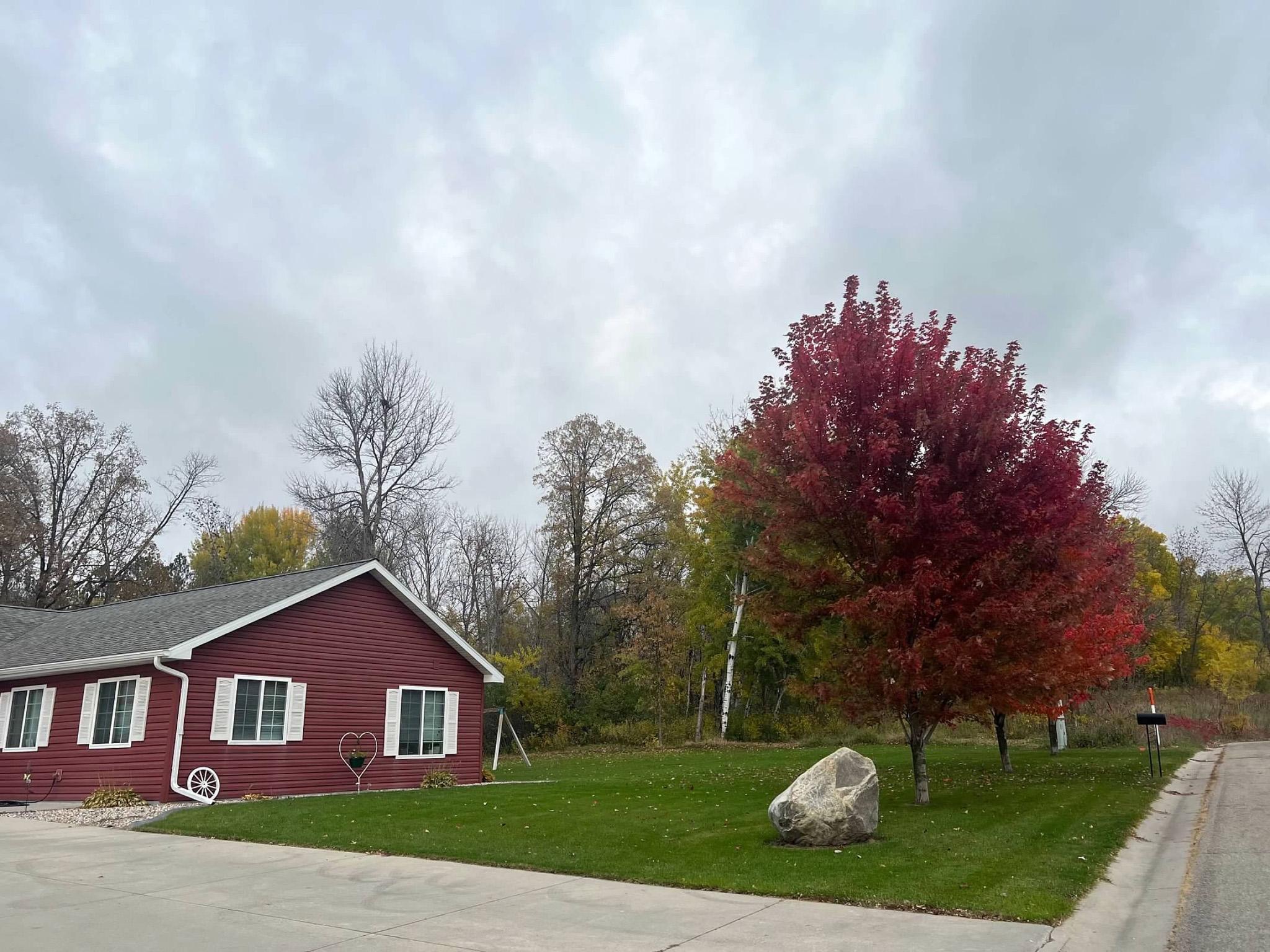 Image-1-1.jpg