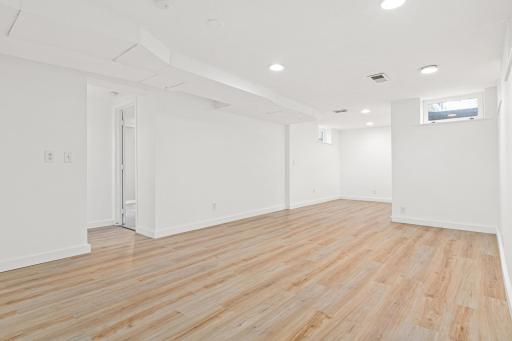 Lower level Family room / Mother In law suite