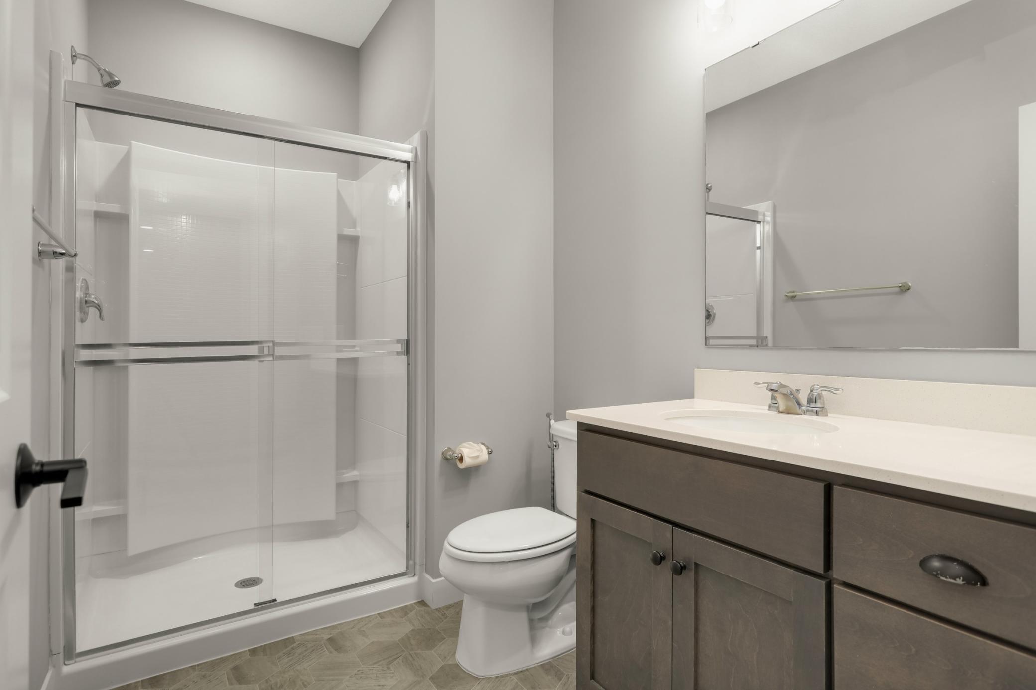 Lower level bathroom