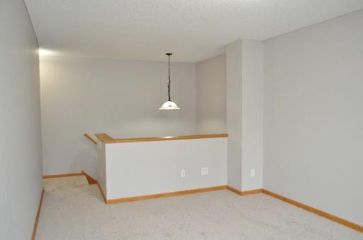 14397 Banyan Lane, Rosemount, MN 55068