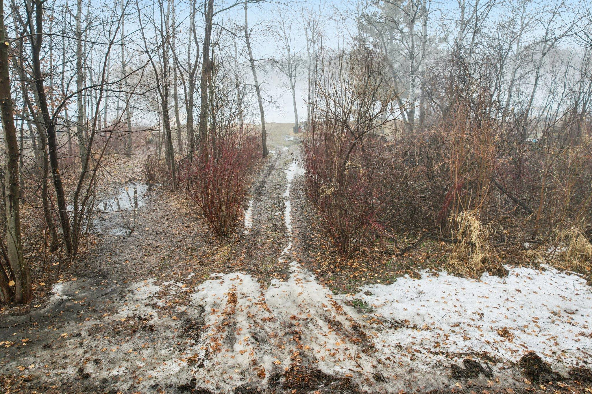 59-web-or-mls-Birch Rd-S0703-057.jpg