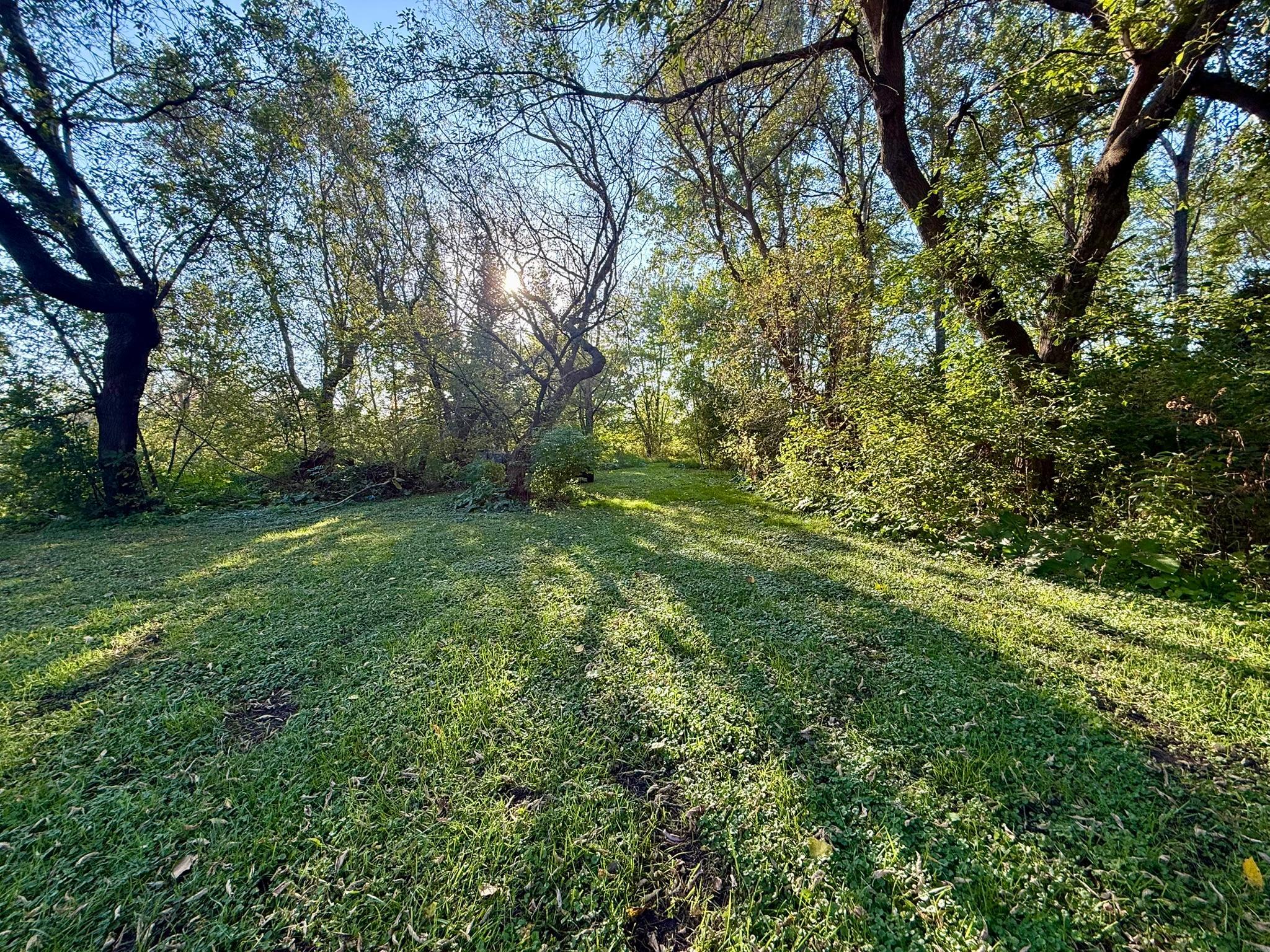 Trails