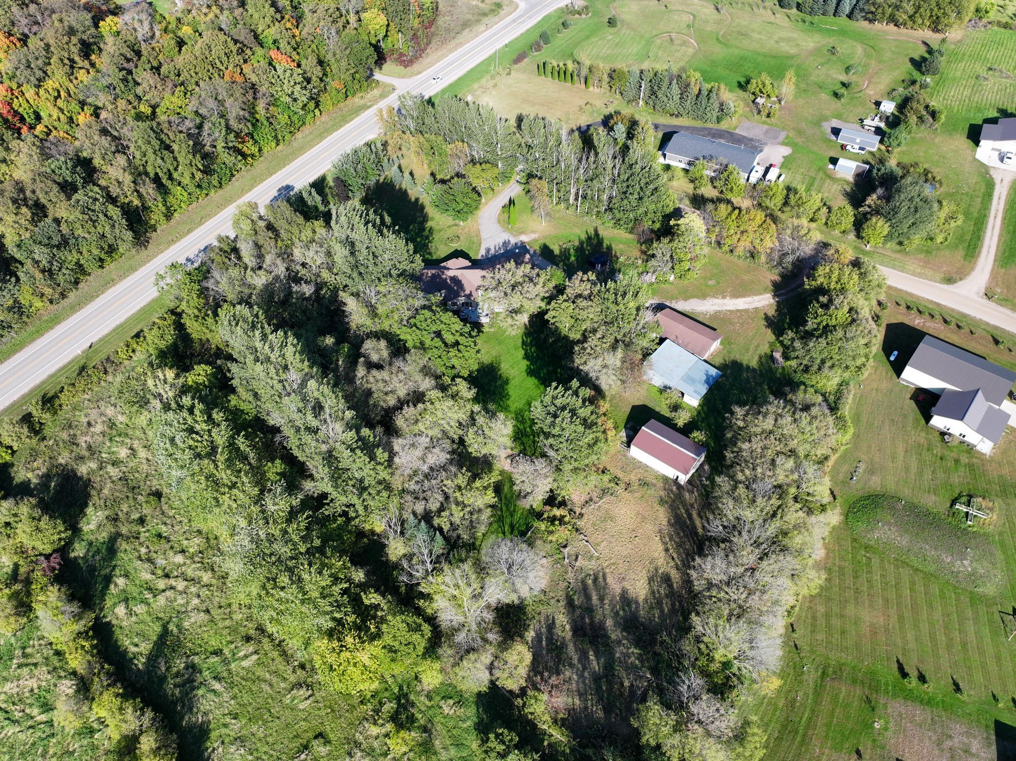Lots of trees/Privacy