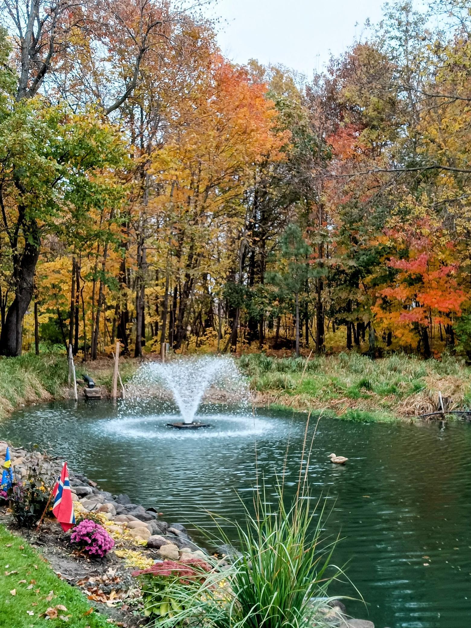 Koi Pond Fountain in Fall