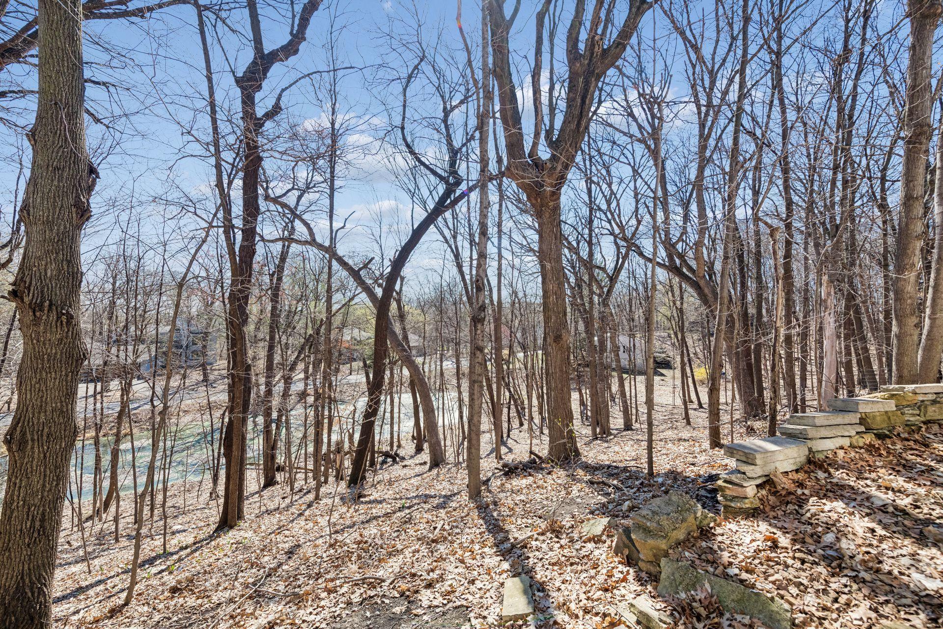 Another view looking east out over the pond