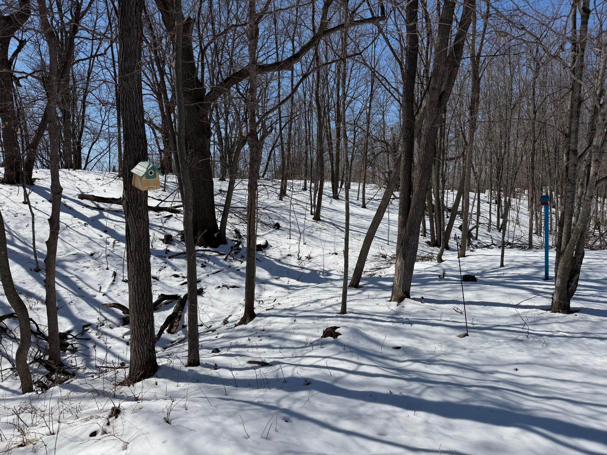 Wooded lot, provides privacy