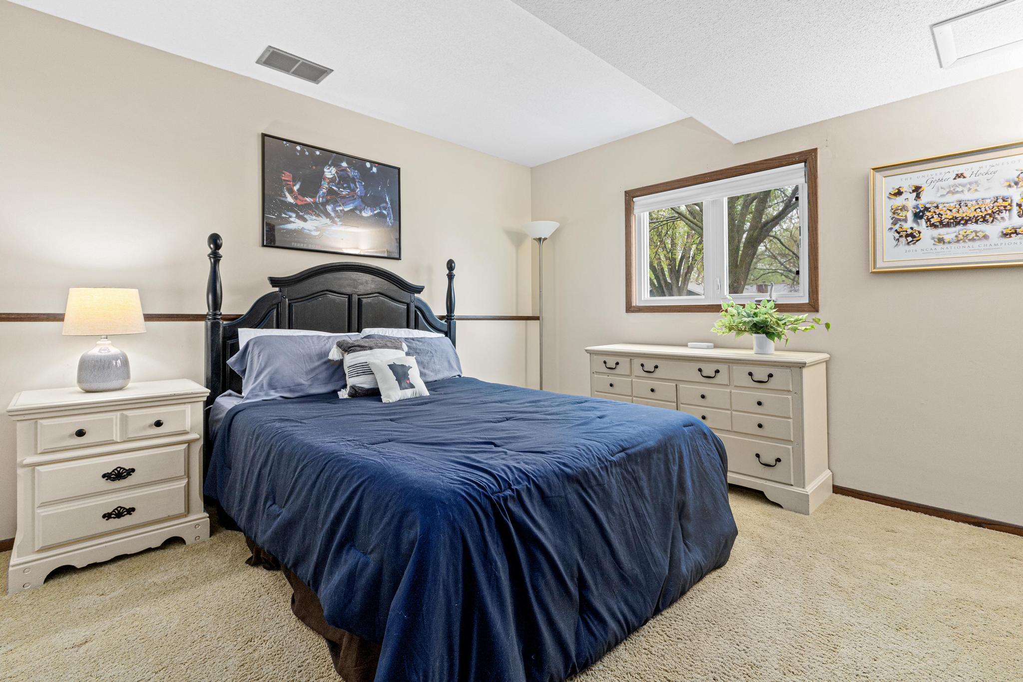 Lower level 4th bedroom