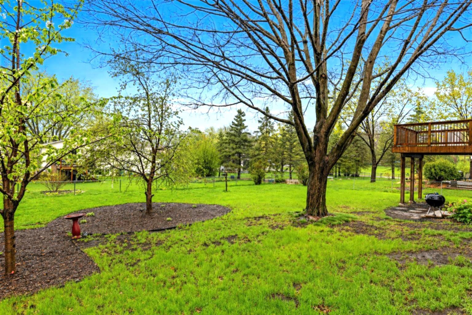 Plenty of space to relax, garden, or play.