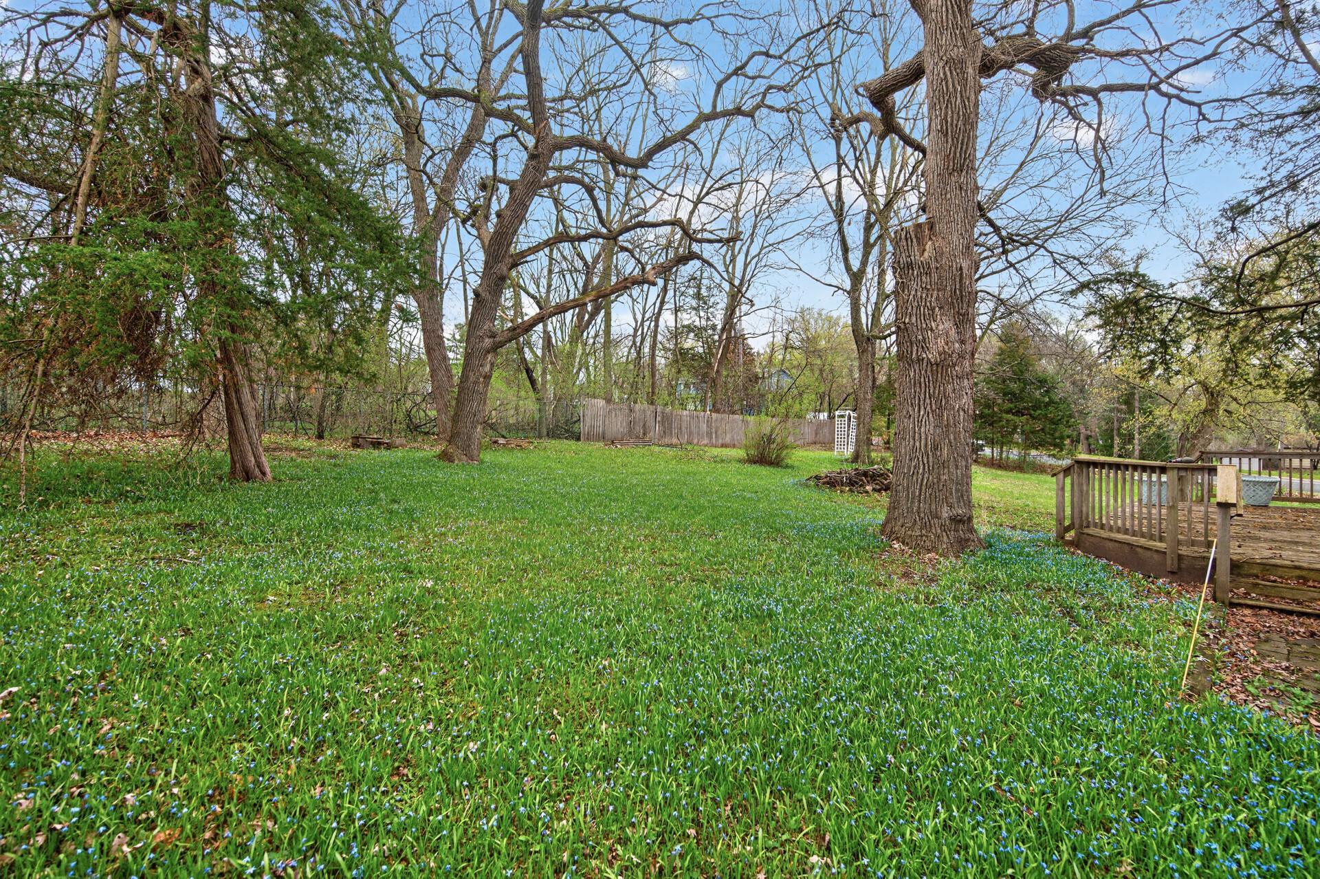Large tree covered backyard