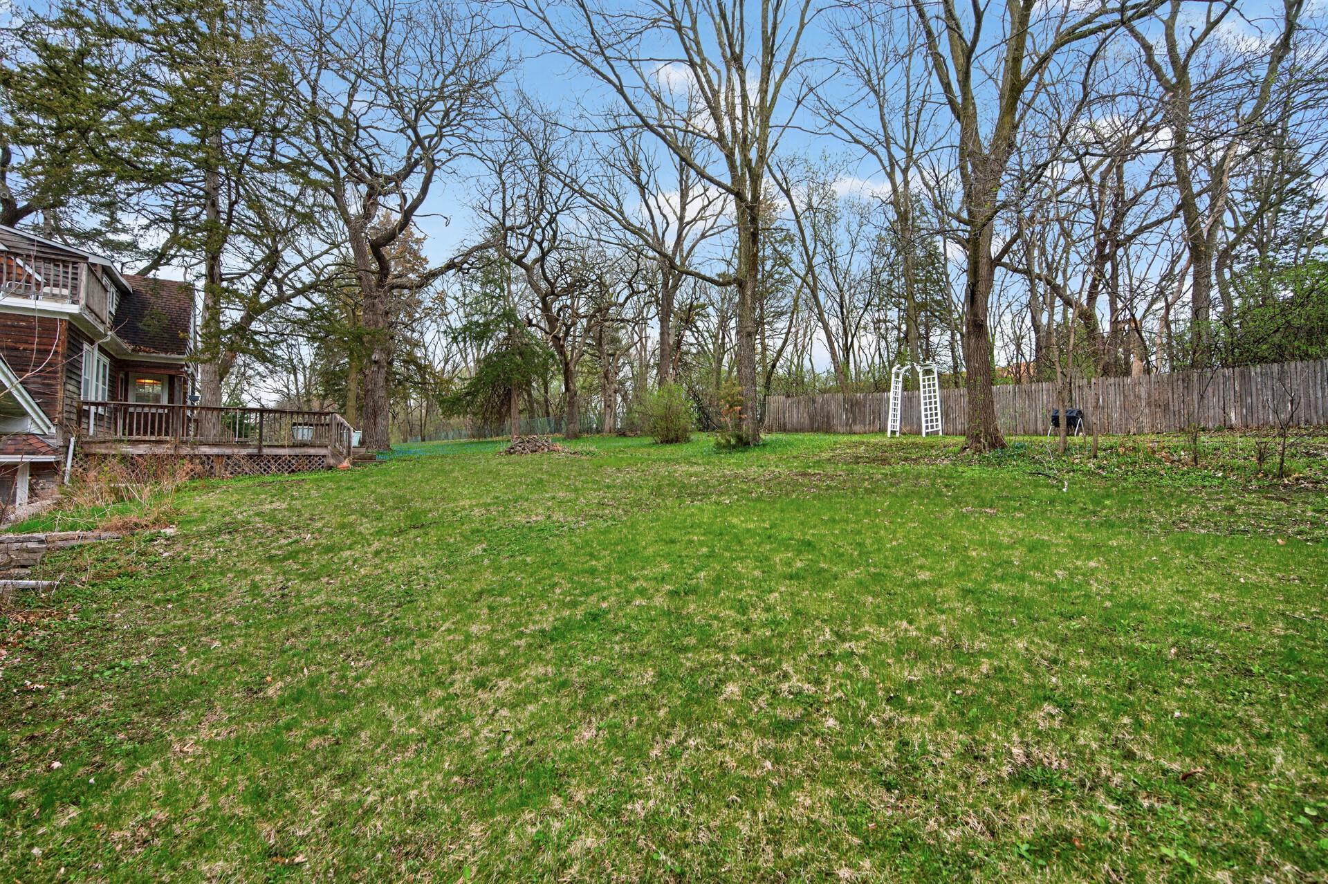 Large tree covered backyard