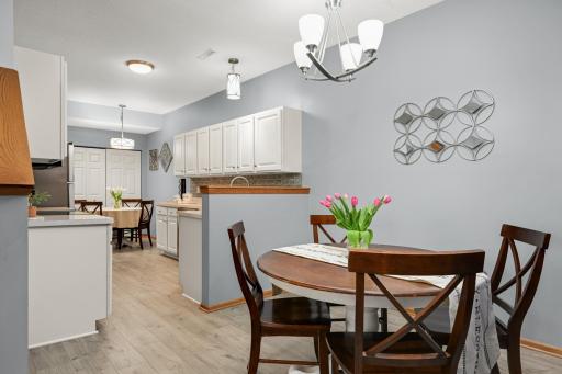 1572 Countryside Drive, Shakopee, MN 55379