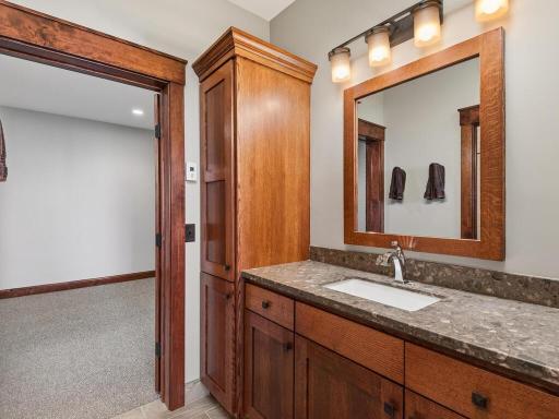 Lower Level Full Jack & Jill Bath with heated floors.