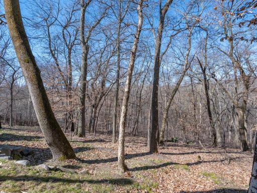 1912 Linner Woods Court, Wayzata, MN 55391