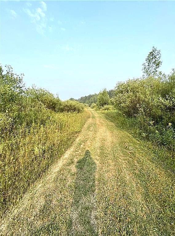 Cut trails thoughout