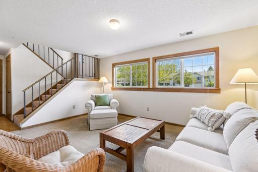 Windows offer plenty of sunshine into lower level