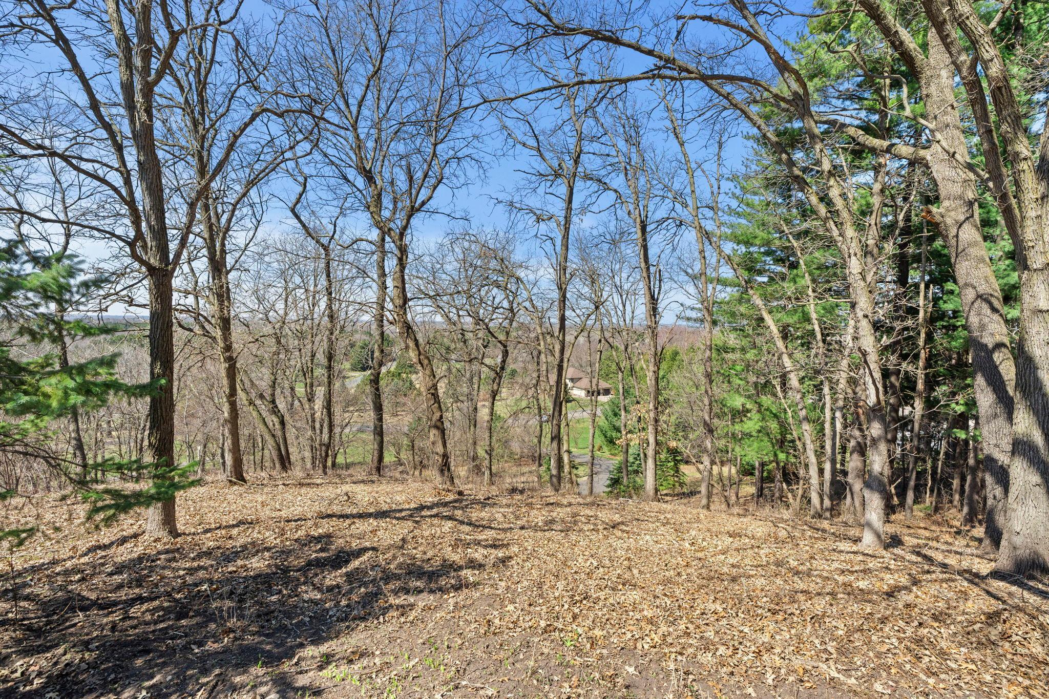 10-web-or-mls-2642 Northridge Ln N-139.jpg