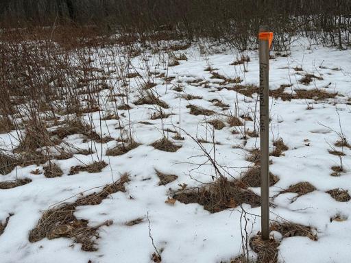 TBD Sunset Valley Road, Nisswa, MN 56468
