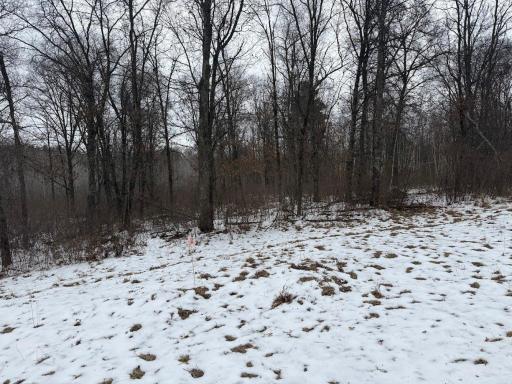 TBD Sunset Valley Road, Nisswa, MN 56468