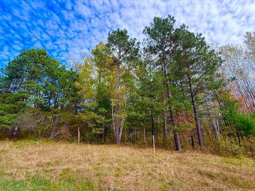 TBD Sunset Valley Road, Nisswa, MN 56468