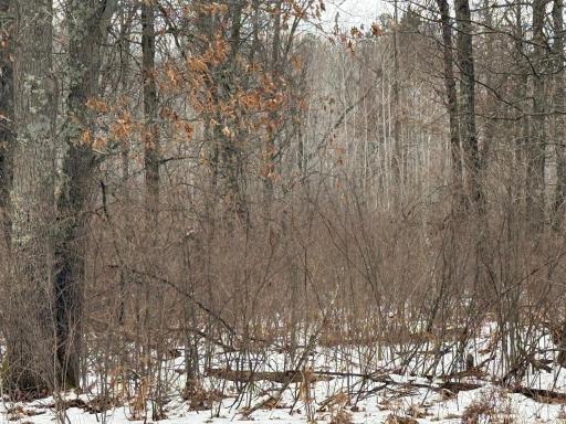 TBD Sunset Valley Road, Nisswa, MN 56468