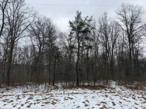 TBD Sunset Valley Road, Nisswa, MN 56468