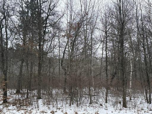 TBD Sunset Valley Road, Nisswa, MN 56468