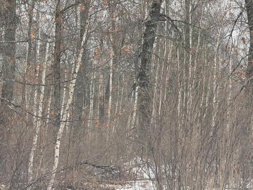 TBD Sunset Valley Road, Nisswa, MN 56468