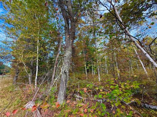 TBD Sunset Valley Road, Nisswa, MN 56468