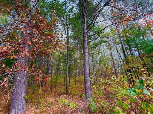 TBD Sunset Valley Road, Nisswa, MN 56468