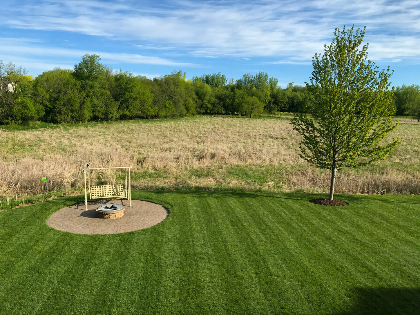 Wetland Spring Views.png
