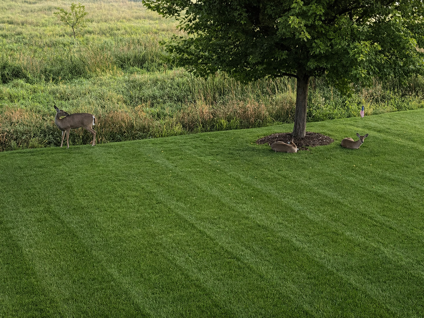 Lots of nature views at 17197 Hollyhock Court.png