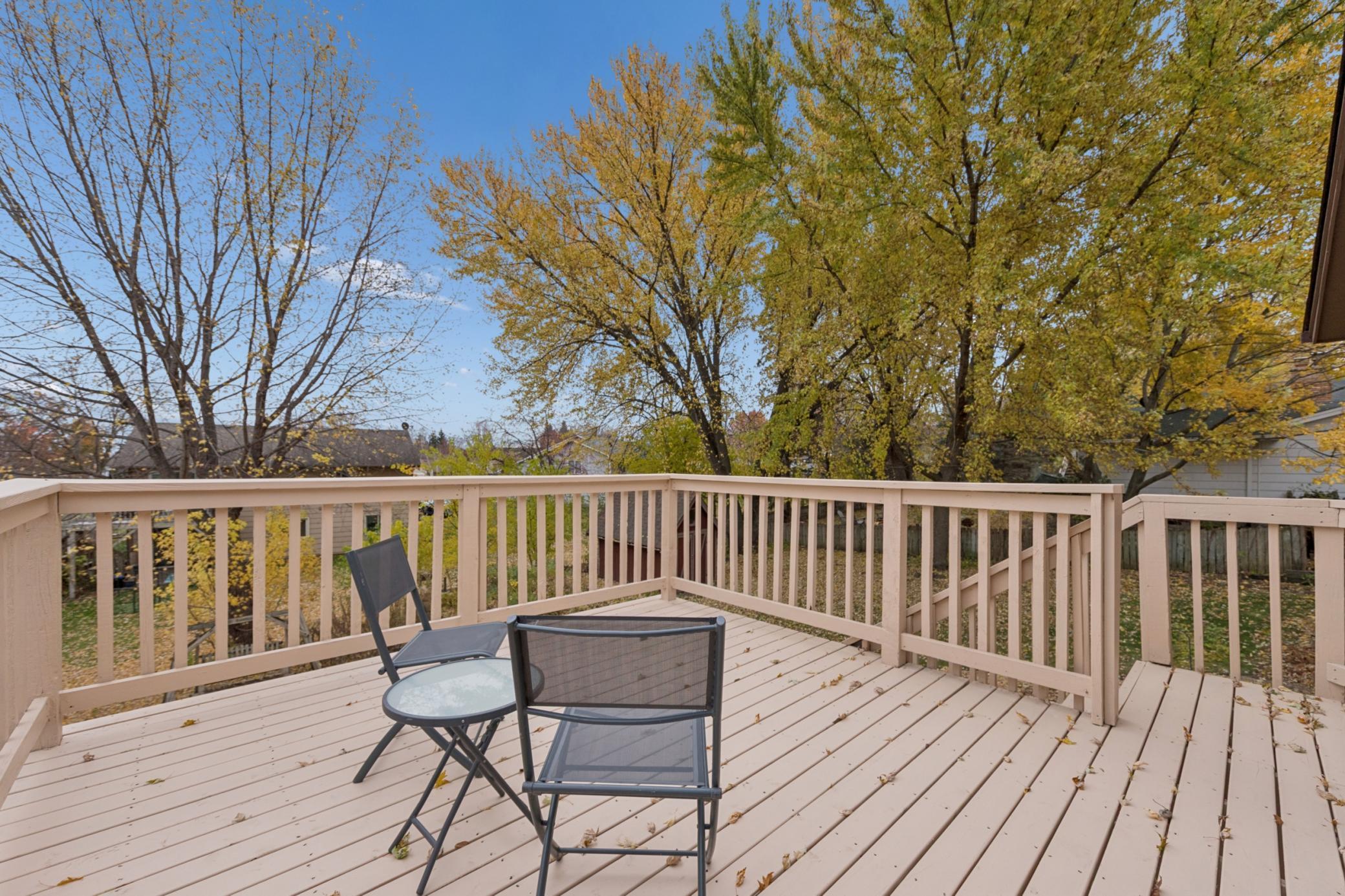 19. Excellent Condition Deck.jpg