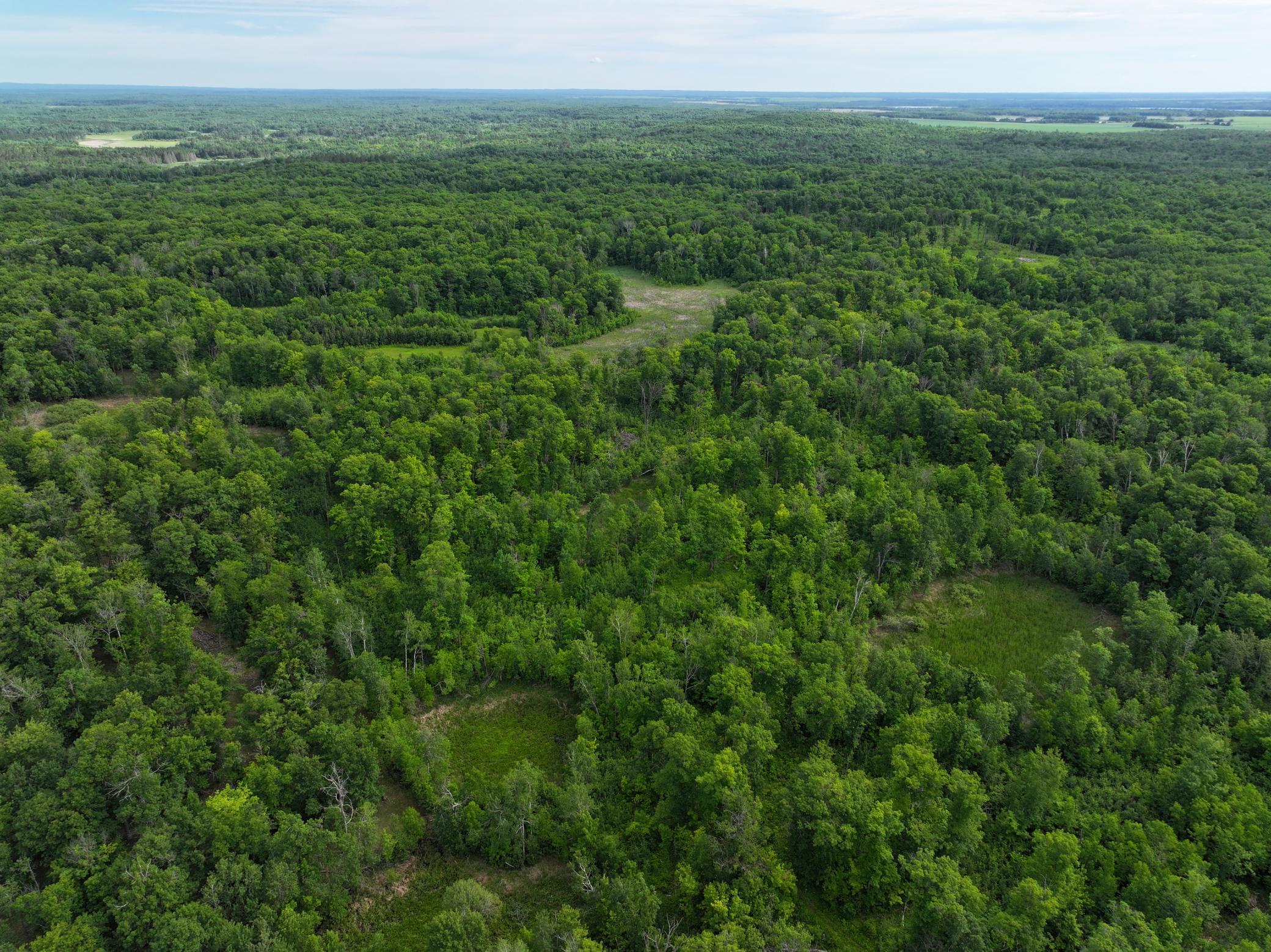 Property photo for TBD County Highway 26, Rochert, MN 56578