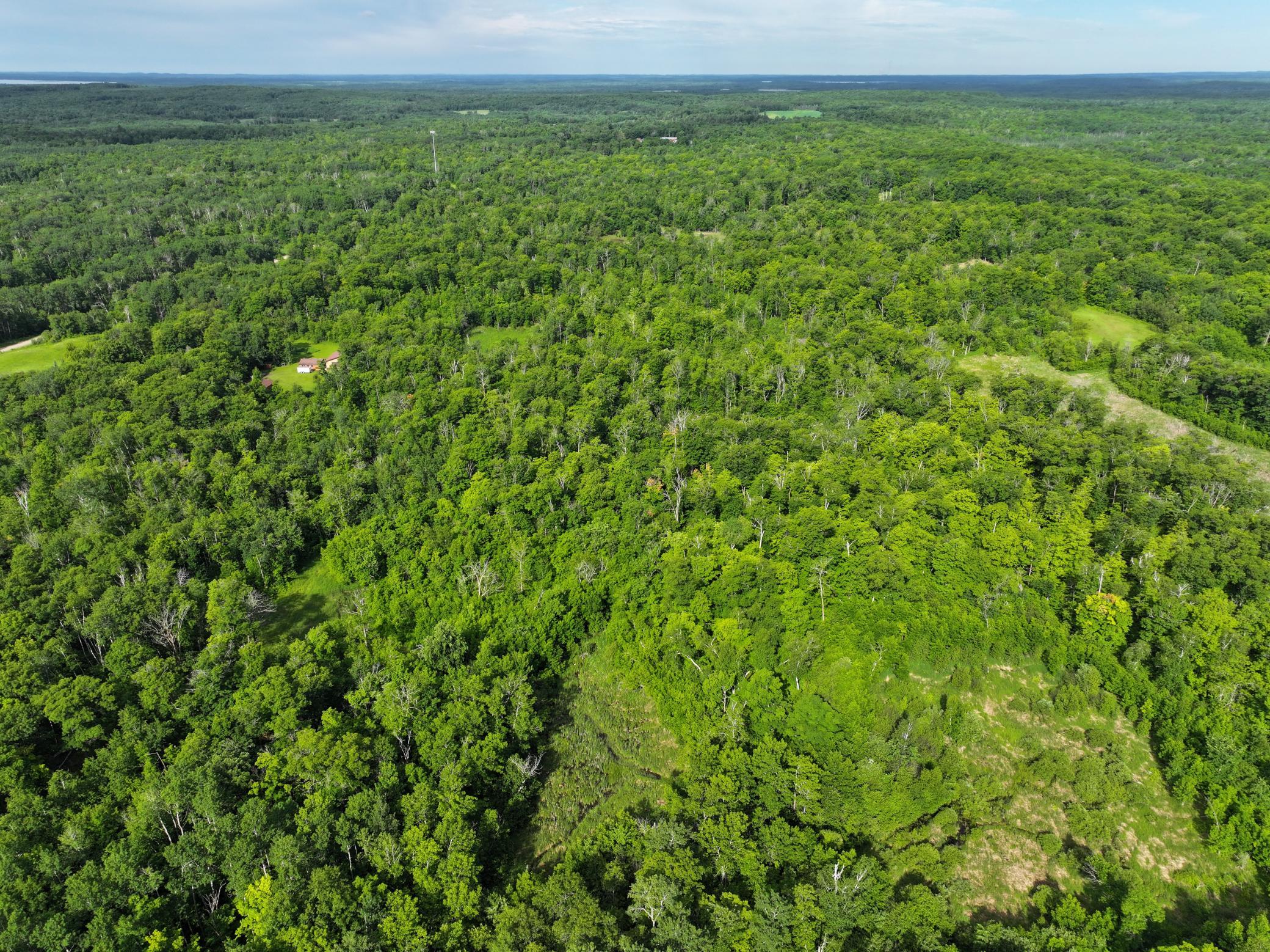 dji_fly_20260626_104116_0054_1782514087463_photo.jpeg