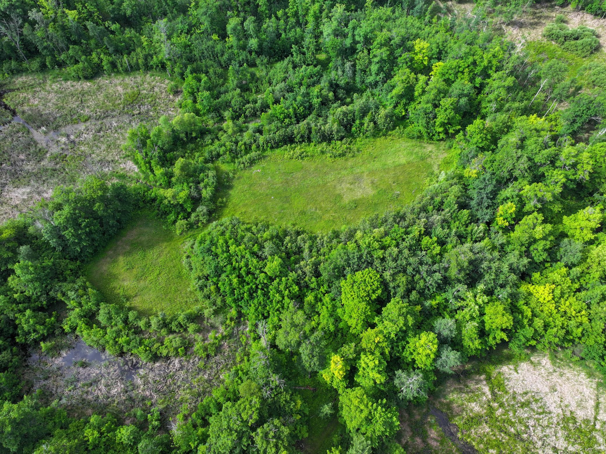 dji_fly_20260626_104450_0062_1782514082020_photo.jpeg