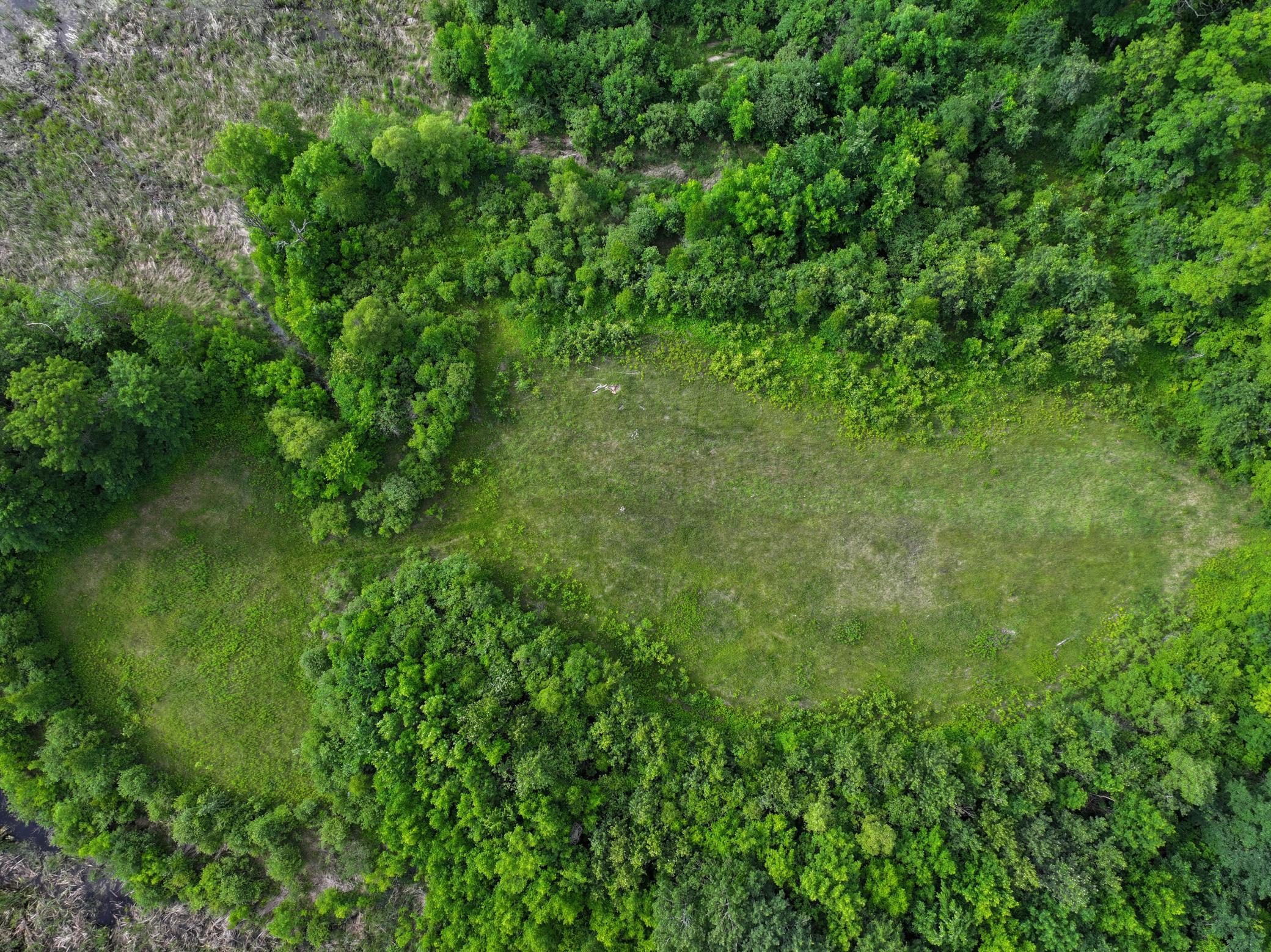 dji_fly_20260626_104536_0064_1782514082923_photo.jpeg