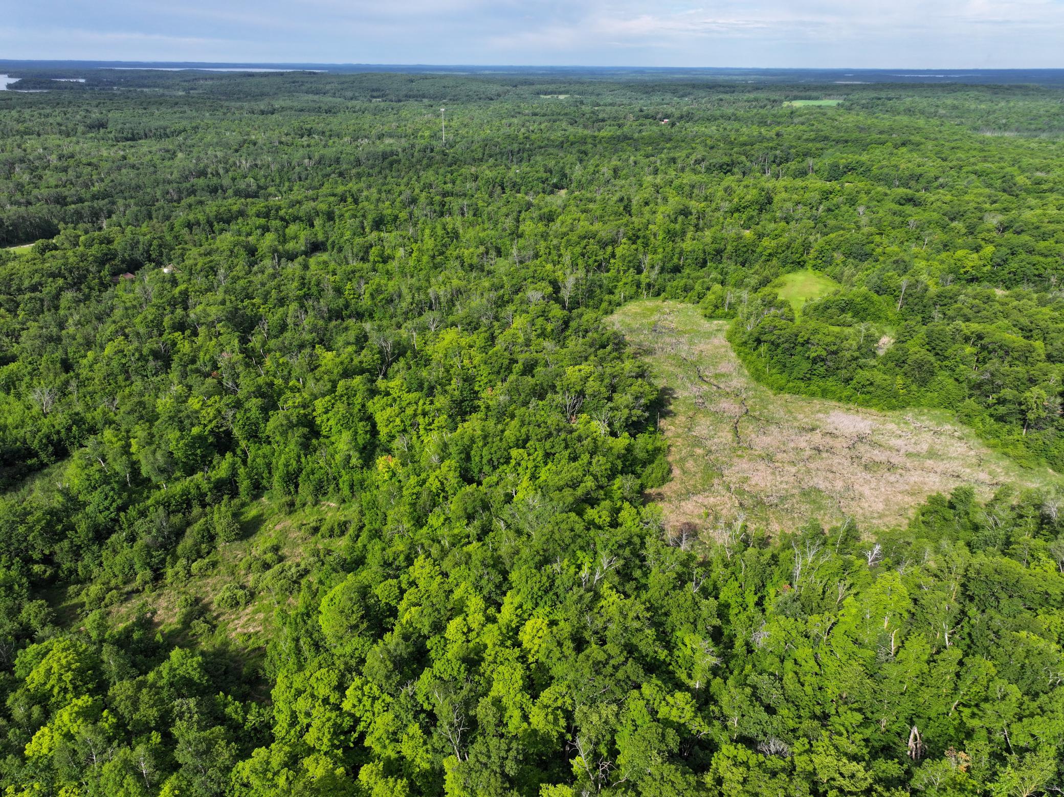 dji_fly_20260626_104158_0055_1782514087933_photo.jpeg