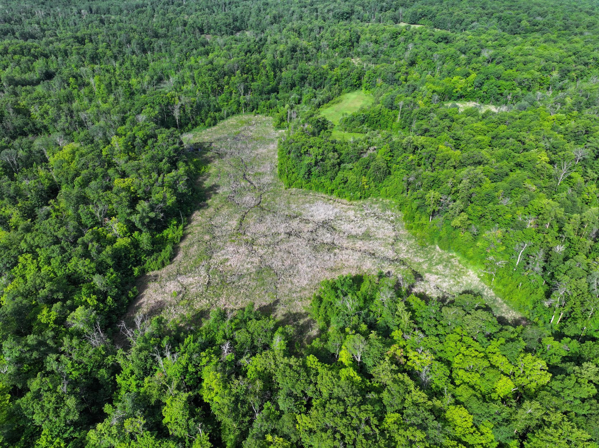 dji_fly_20260626_104236_0057_1782514085171_photo.jpeg