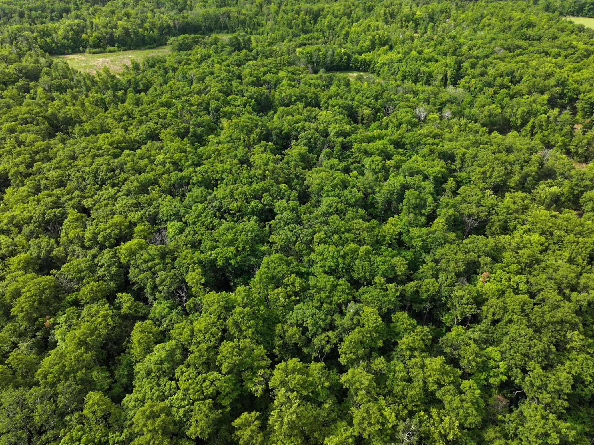 dji_fly_20260626_104404_0060_1782514083873_photo.jpeg