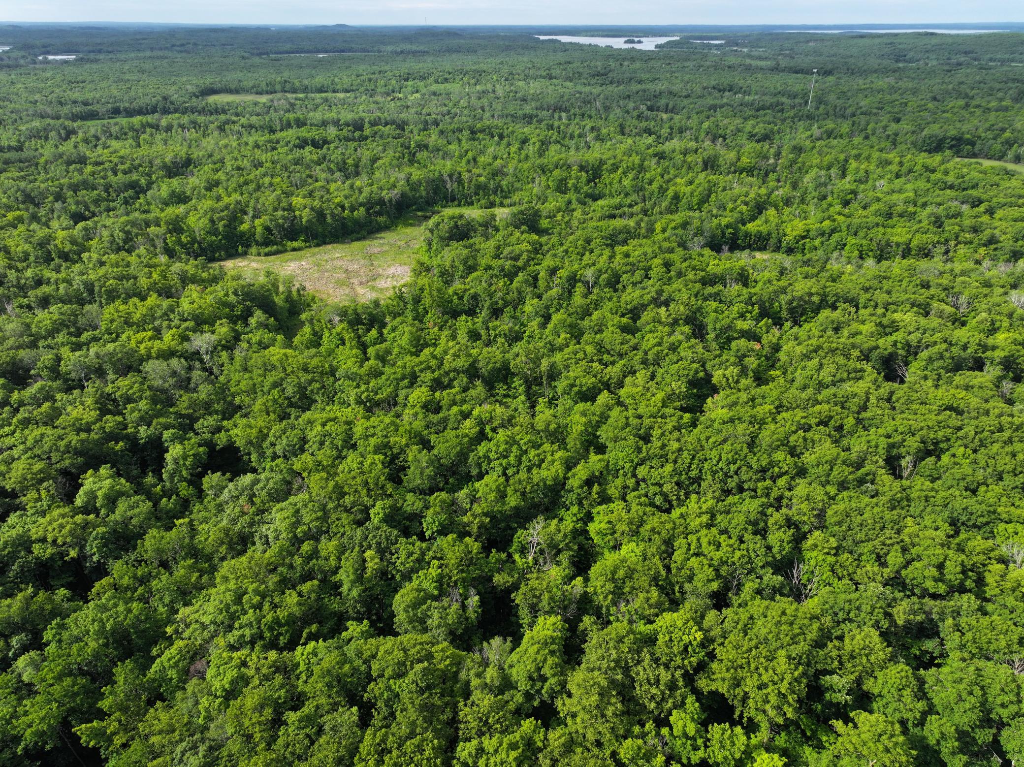 dji_fly_20260626_104332_0059_1782514084306_photo.jpeg
